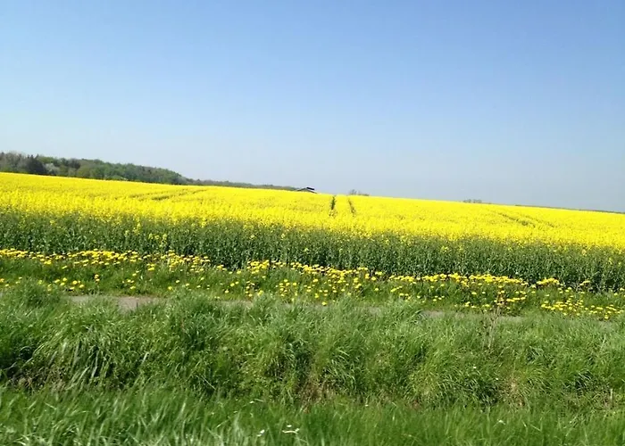 House Semesterbostad *